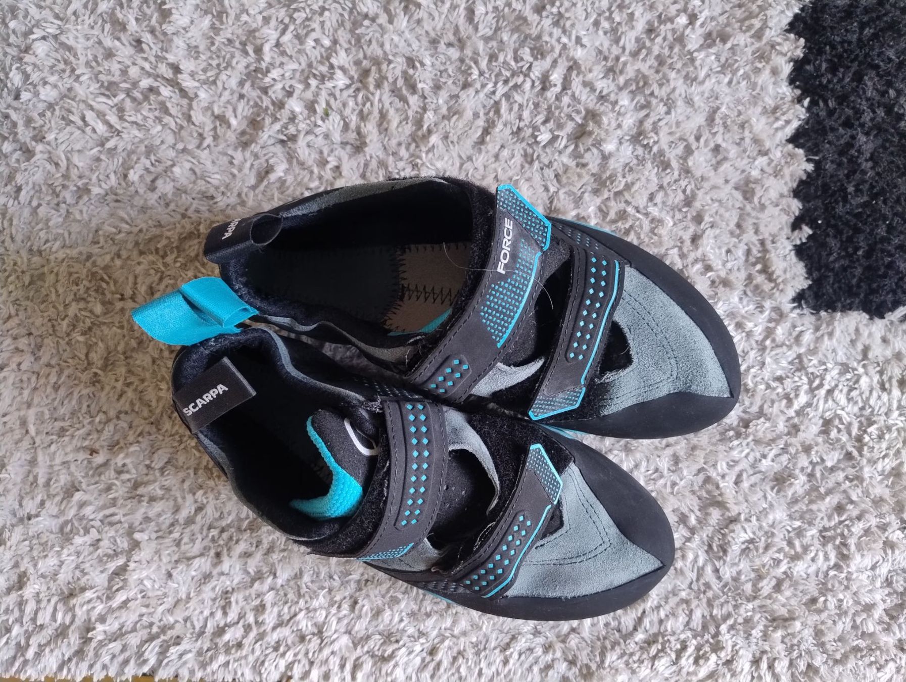 Scarpa Scarpe da uomo: Scarpa Force V 43EU – Usato da St Gallen venduto da ole_h98d 1