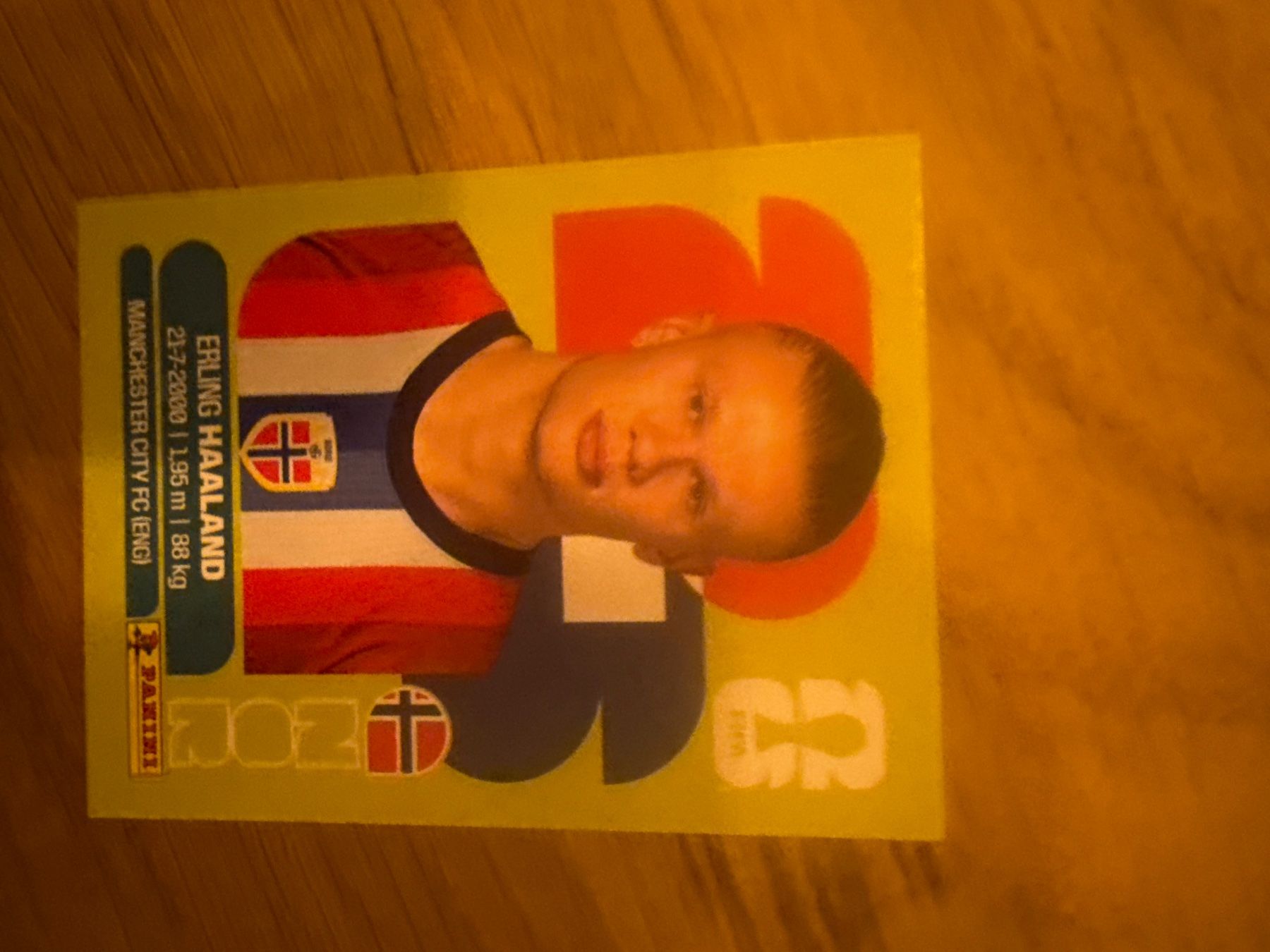 Panini Carte collezionabili: Panini – Usato da Langnau i. E. venduto da Acrjl