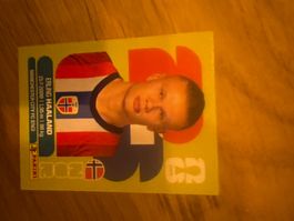 Panini
