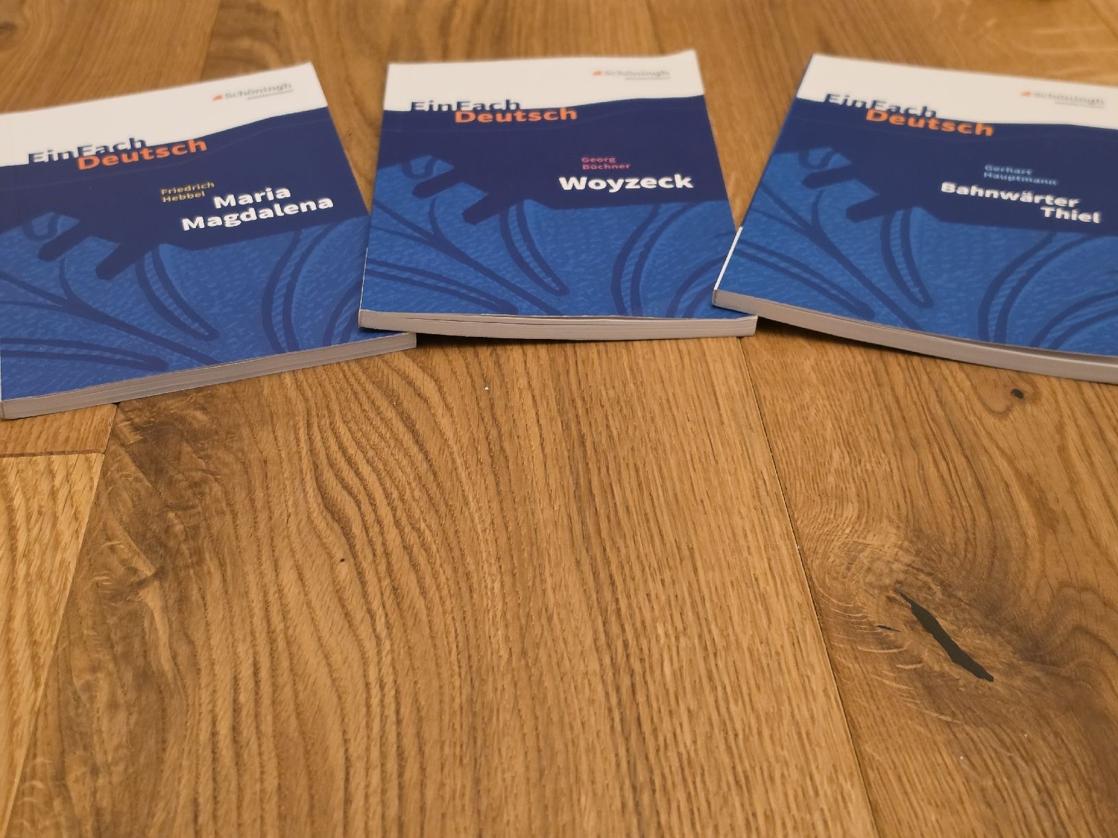 Libri: EinFach Deutsch 3 Bücherset – Nuovo (secondo la descrizione) da Schliern b. Köniz venduto da Zelda_adlez 3