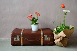 Valise vintage années 1940 arceaux bois et carton