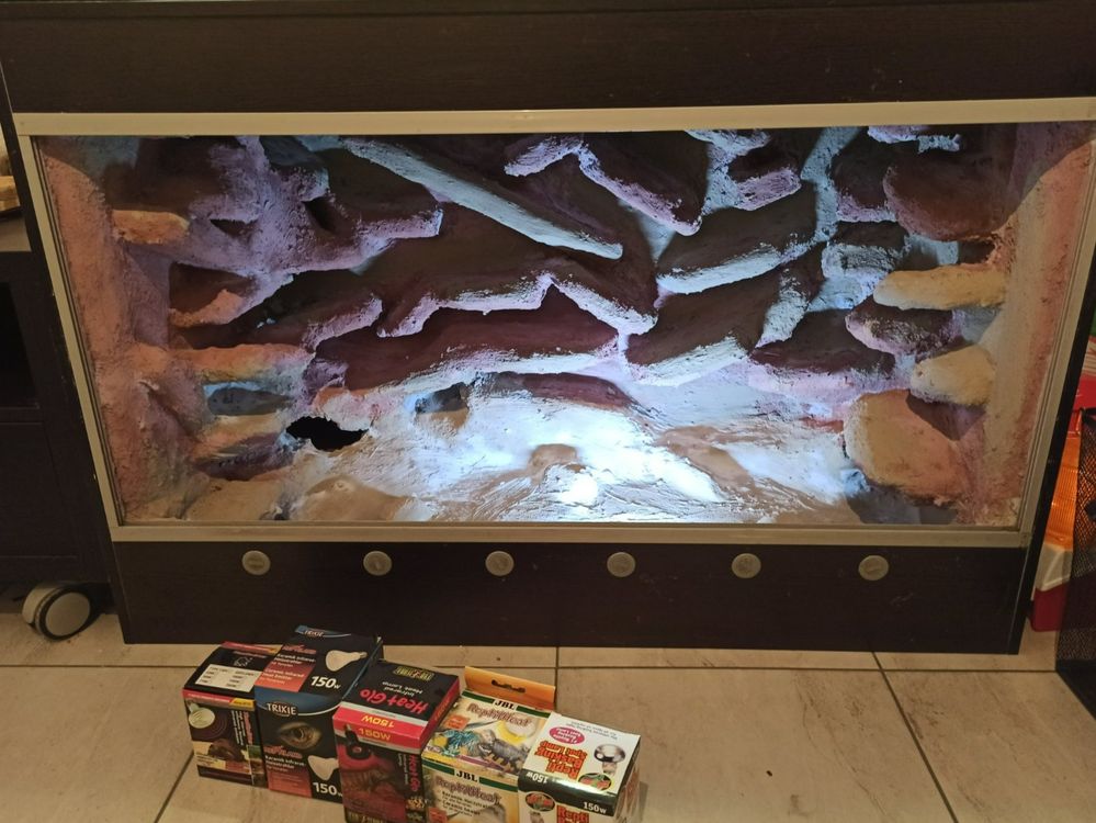 Künstliche Terrarien-Pflanzen Für Reptilien – 2 Stück, Je Ca. 37 Cm | Mit Saugnäpfen, Einfach Zu Befestigen