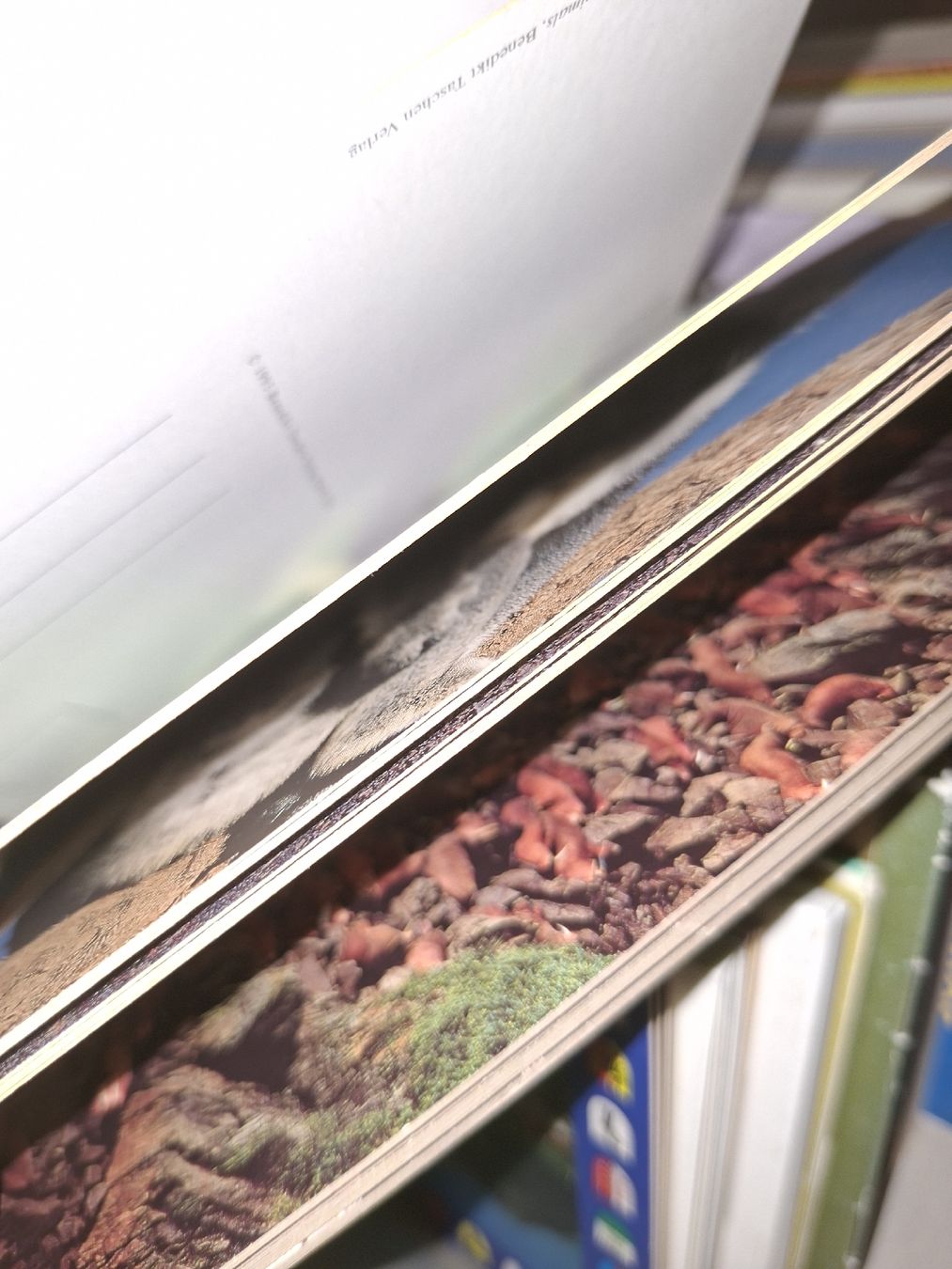 Tous les timbres: Ungebrauchte Postkarten zum versenden  – D'occasion à Balgach par SIMEON27 8