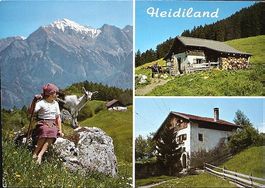 MAIENFELD Heidiland mit Falknis - Heidialp - Heidi mit Ziege