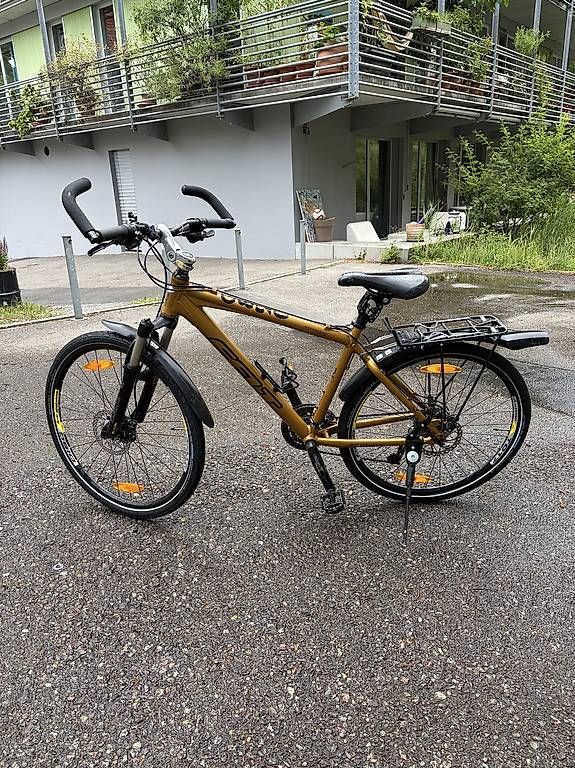Biciclette: Goldenes MTB – Usato da Zürich venduto da raf_5wj5 1