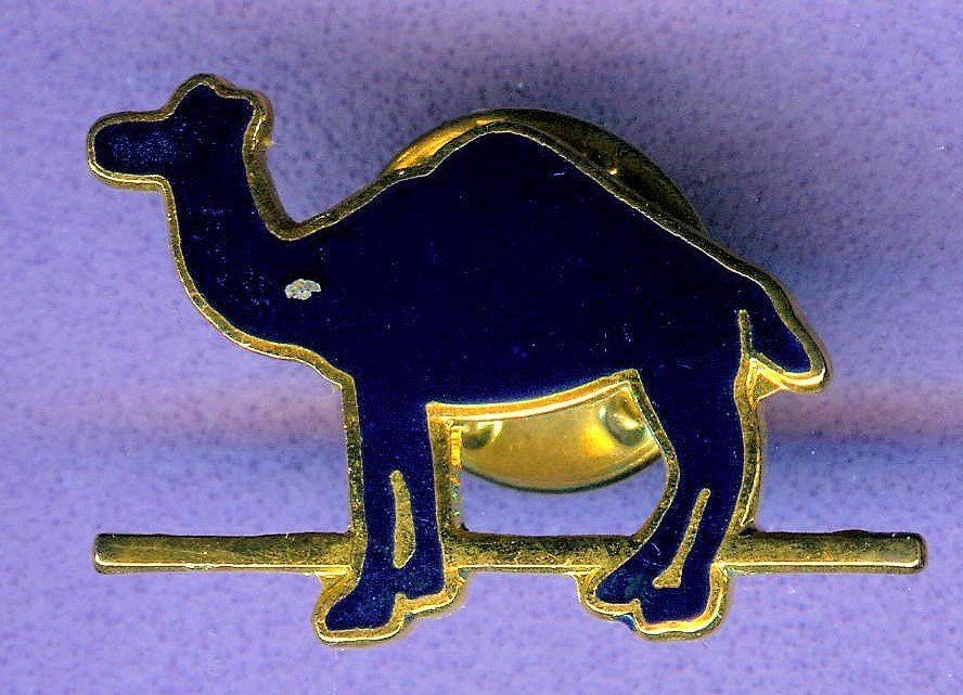 Camel Plaketten & Abzeichen: CAMEL   – Gebraucht aus Winterthur von Sammleroase