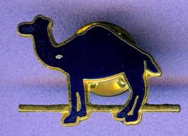 CAMEL  