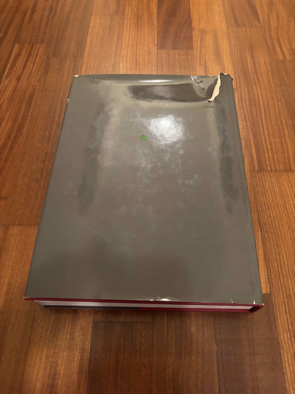 Libri: De Pisis – Usato da Lugano venduto da Mark_Young 3