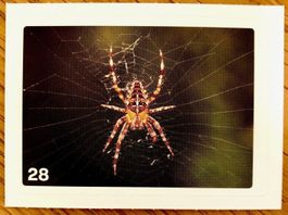 Migros Nature Detectives - Bild Nr. 28
