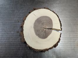 Nussbaum Holz Baumscheibe