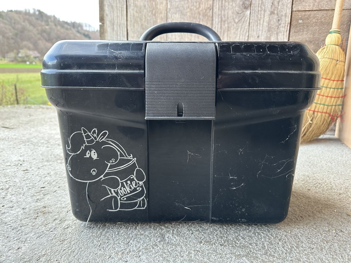 Altro per la casa: Putzbox für Pferd – Usato da Wohlen b. Bern venduto da chrige84 1