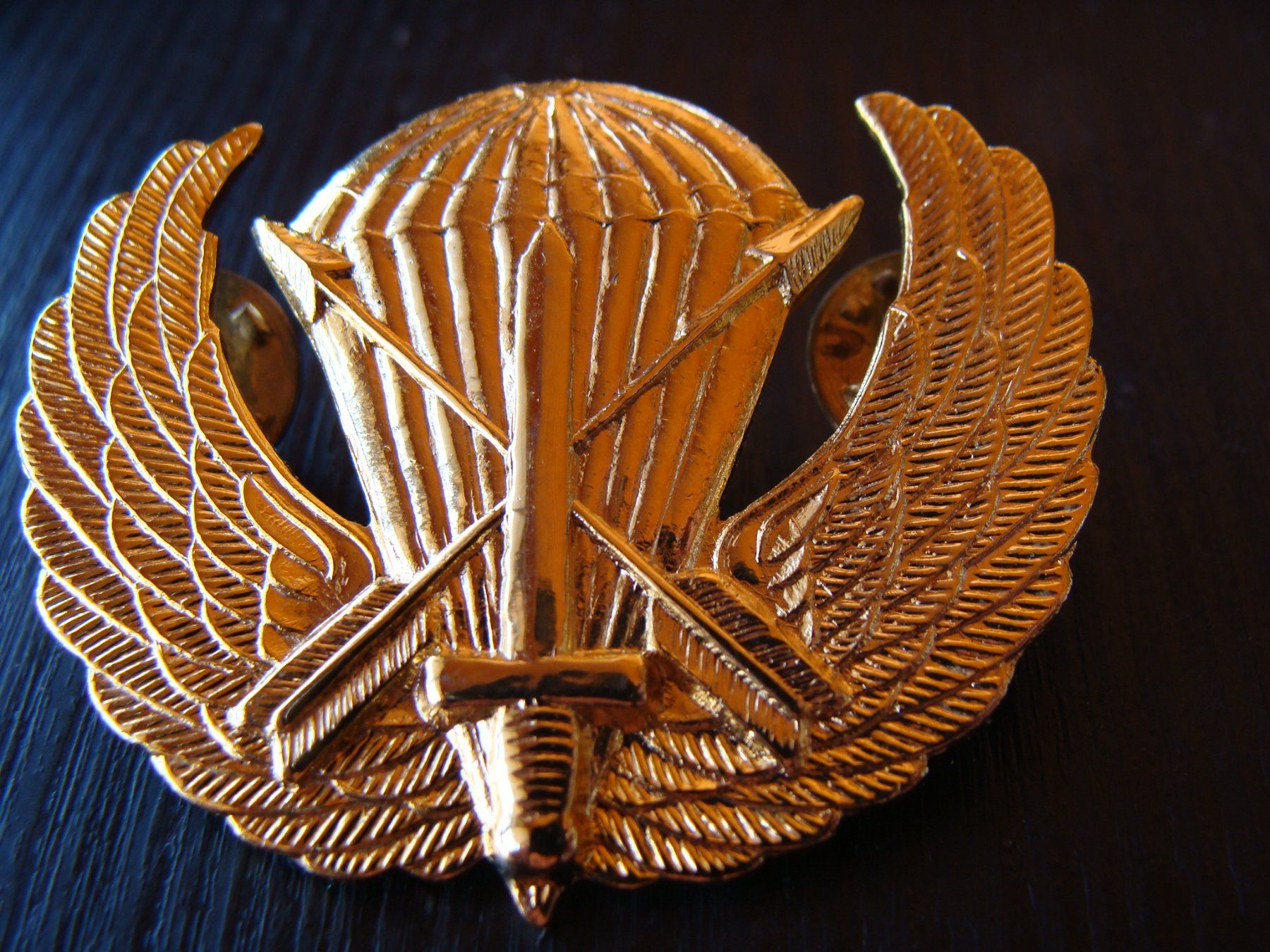 Plaquettes & Badges: Insigne des forces  spéciales – D'occasion à Cuarny par hen_g7hn