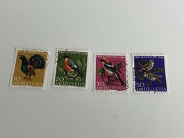 Pro Juventude 1968