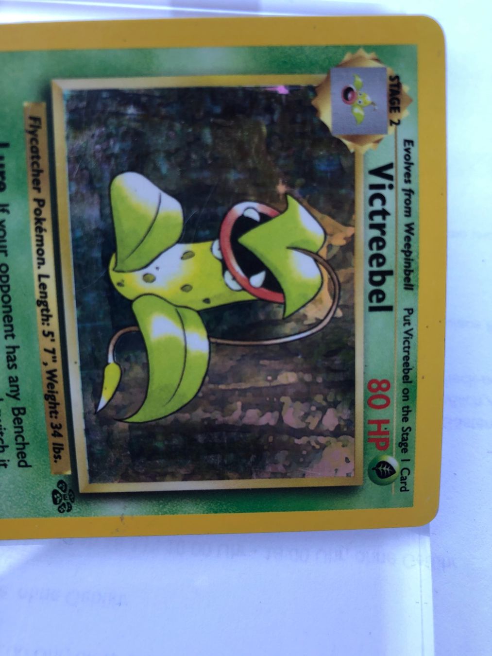 Carte collezionabili: Victreebel Holo Jungle - HP - ab 1.- – Usato da Giubiasco venduto da dan_pr8b 4