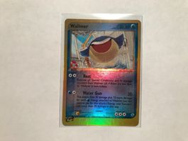 Wailmer reverse holo Ex Ruby & Saphire