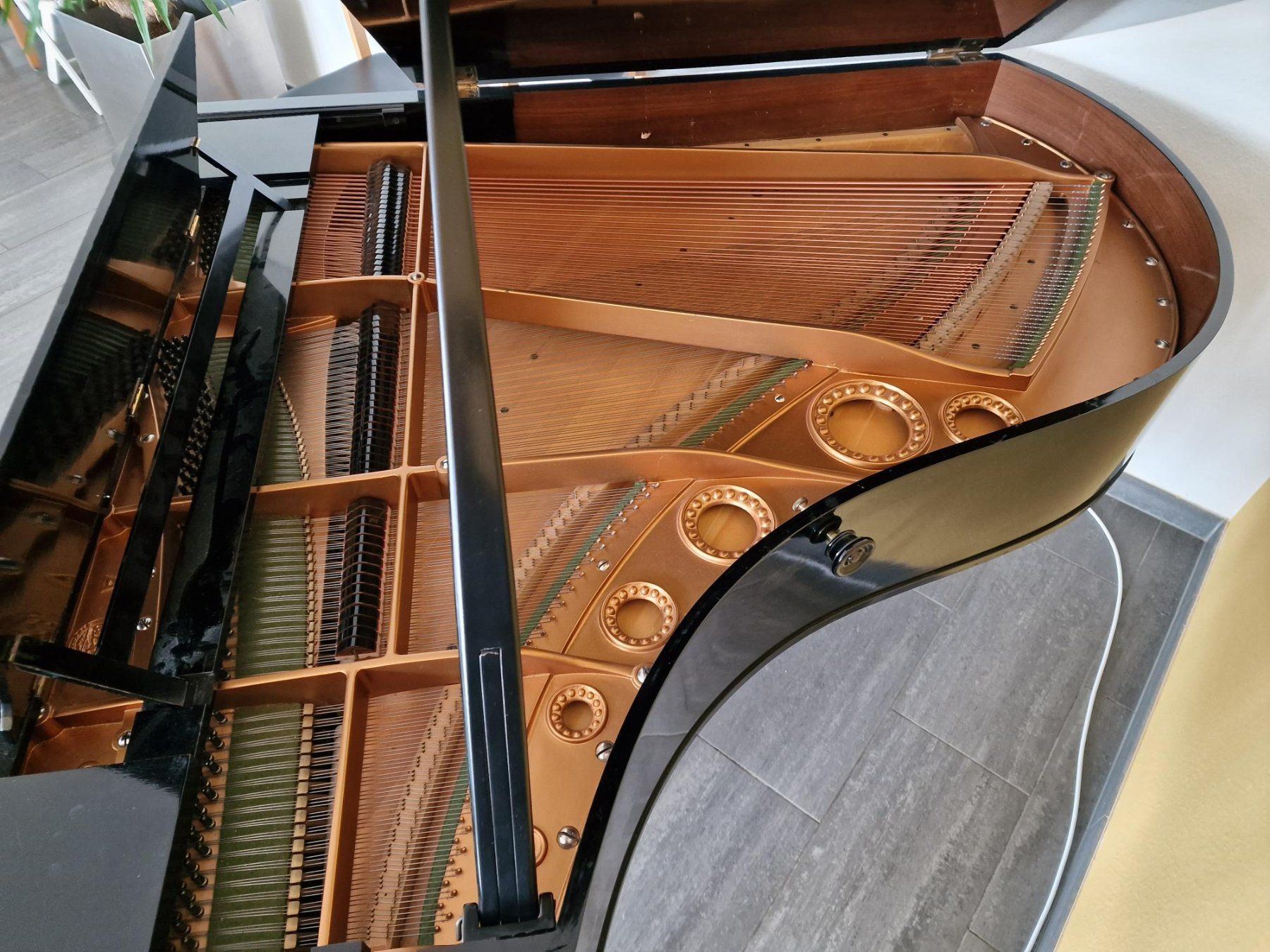 Musikinstrumente: Flügel C. Bechstein zu verkaufen. – Gebraucht aus Eschenbach SG von Hoerbys 4