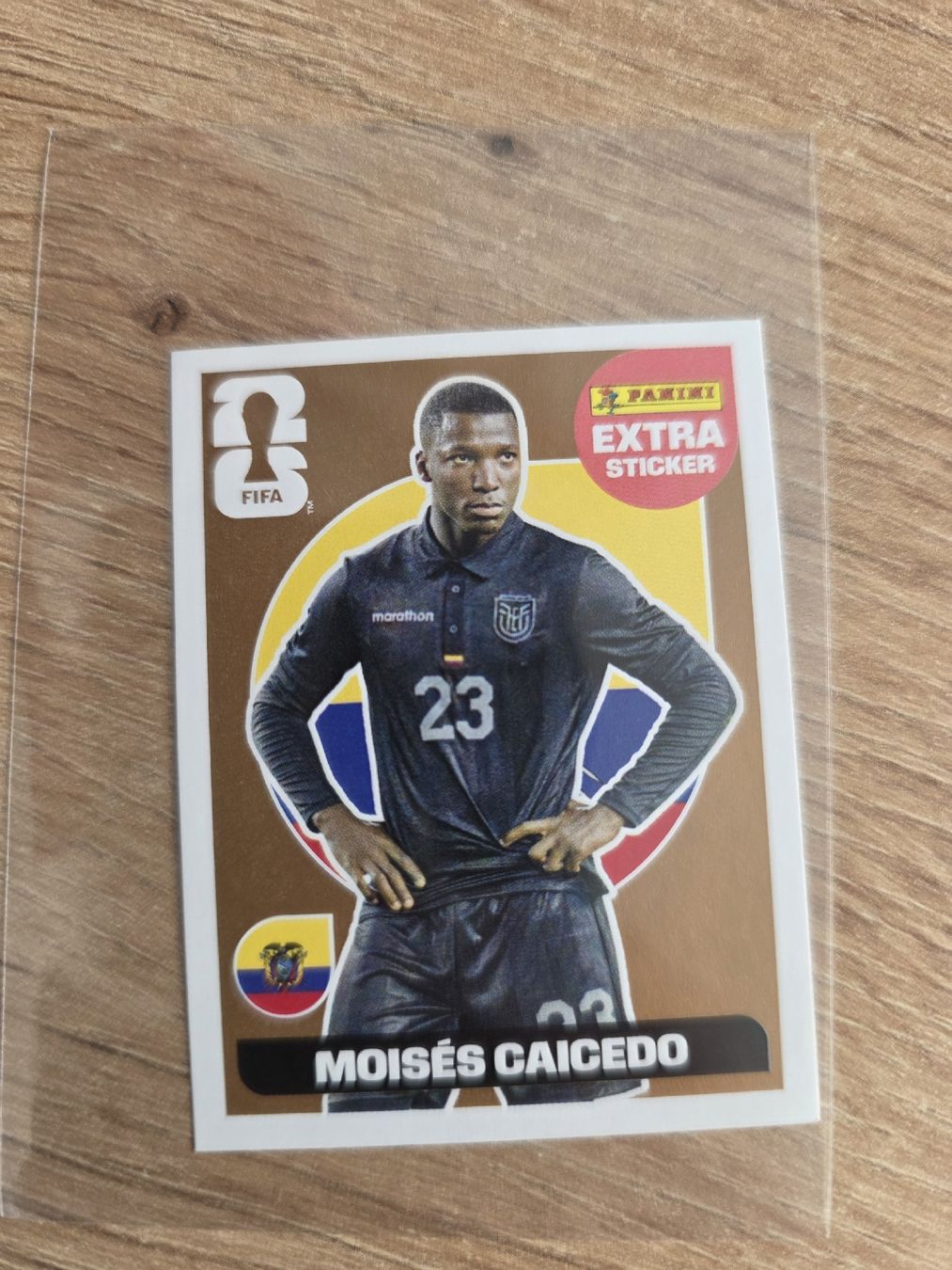 Panini Carte collezionabili: Panini FIFA Extra Sticker: Moises Caicedo WM 2026 – Usato da Lausen venduto da Loran13
