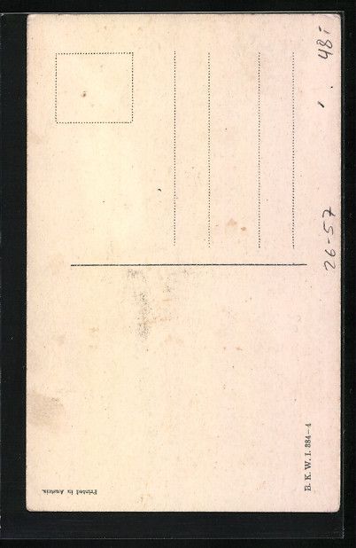 Cartoline postali: Mela Köhler: Elegante Dame mit Perücke – Usato da Berlin venduto da bartko-reher 1