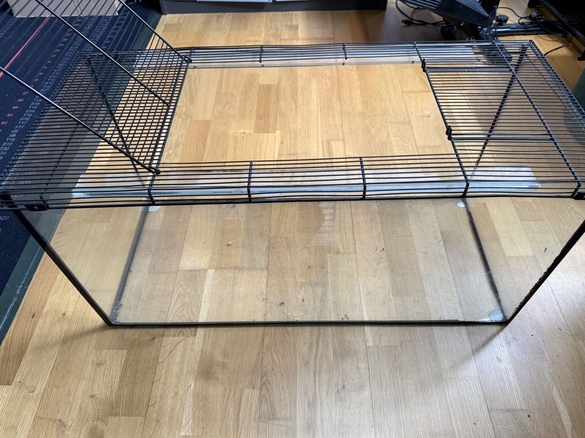 Terrarium: Terrarium mit Deckel – Gebraucht aus Hunzenschwil von MichaelBanger0