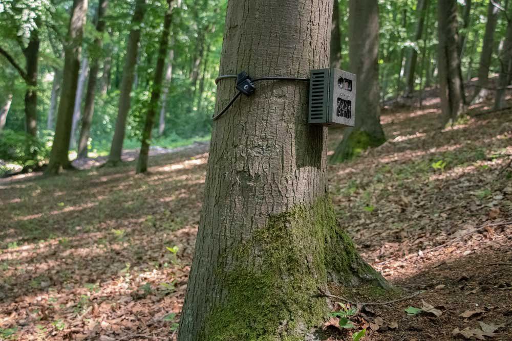 Lucchetti: Kabelschloss – Nuovo e nell'imballaggio originale da Horw venduto da twister-interactive 6