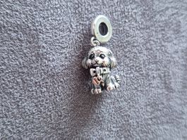 Silber Charm Welpe +Garantie