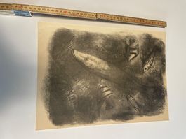 Originallithografien von Tiere, ca. 1940er bis 1960er Jahre