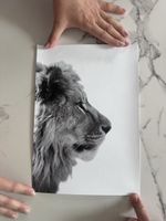 Löwen Portrait, Schwarz-Weiss Druck, ungerahmt, Top!