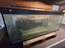 Aquarium mit zubehör