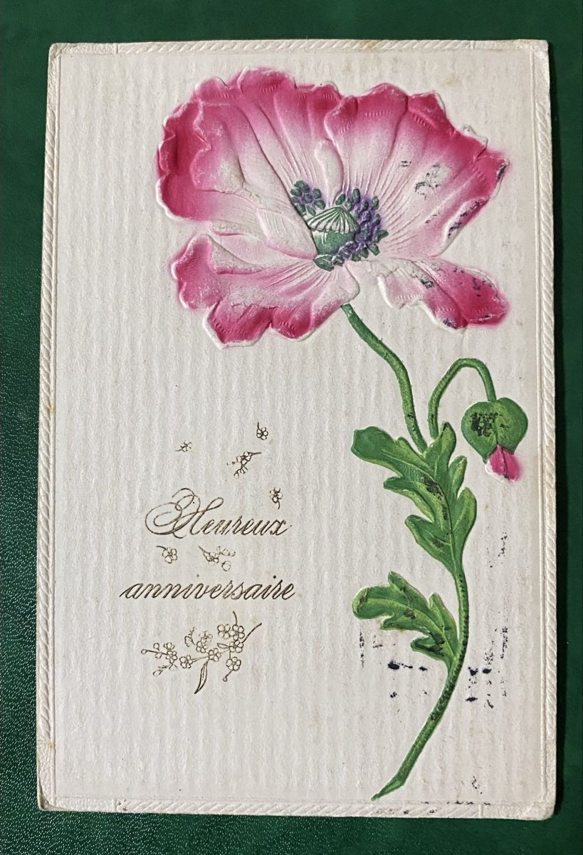 Ansichtskarten: Cartes à motifs divers – Gebraucht aus Petit-Lancy von Solcarm 5