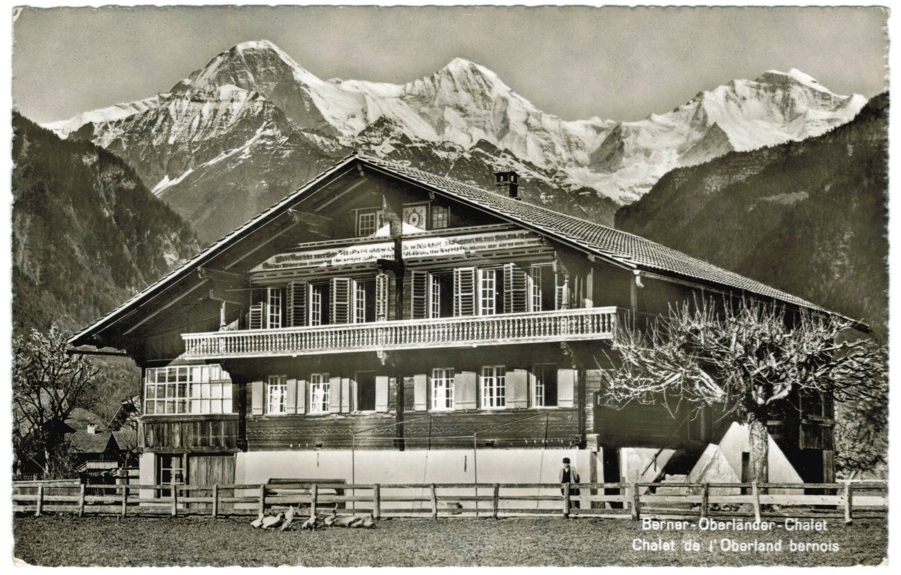 Cartes postales: AK Berner Oberländer Chalet – D'occasion à Zürich par tol_b7c7