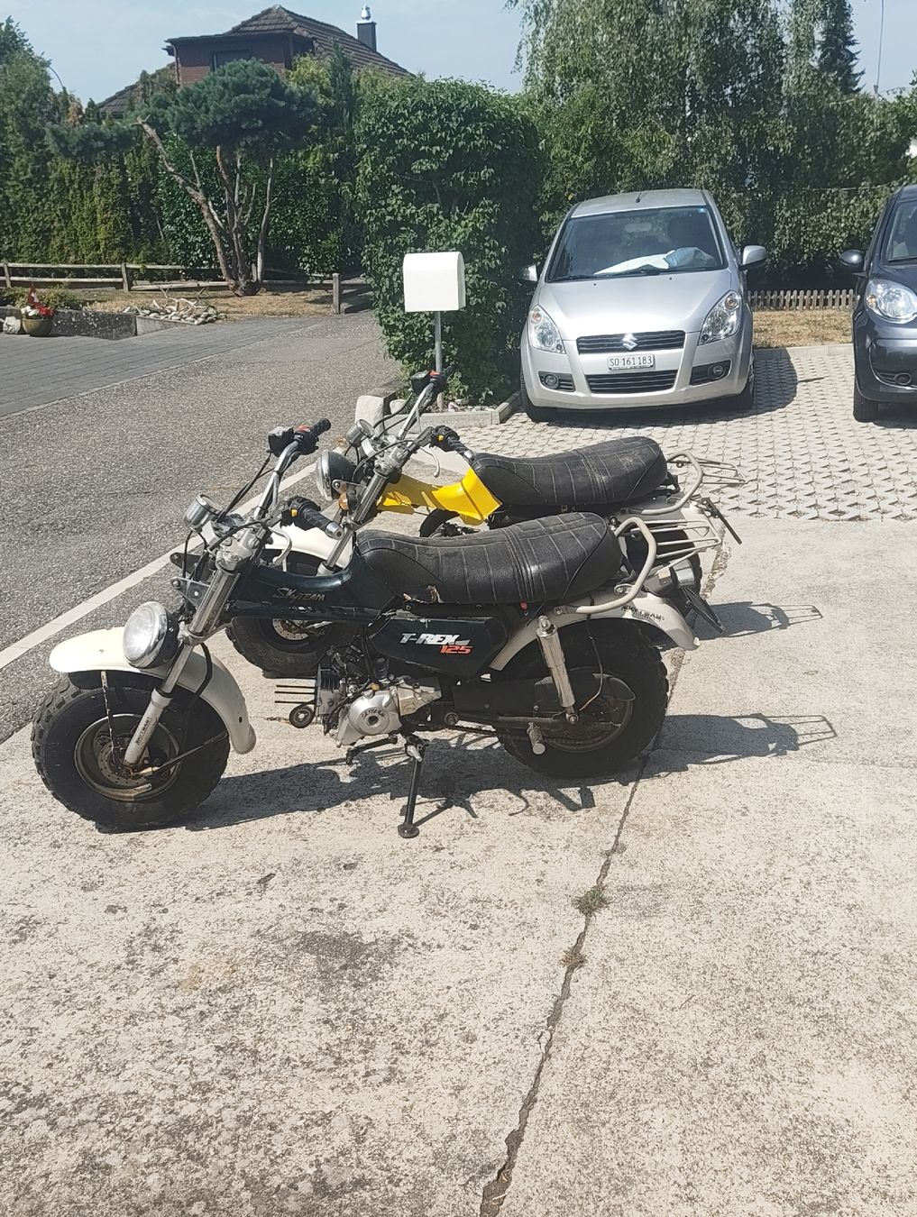 Skyteam Enduro: Skyteam T-Rex 125ccm – Defekt aus Recherswil von ced_mxz5 4