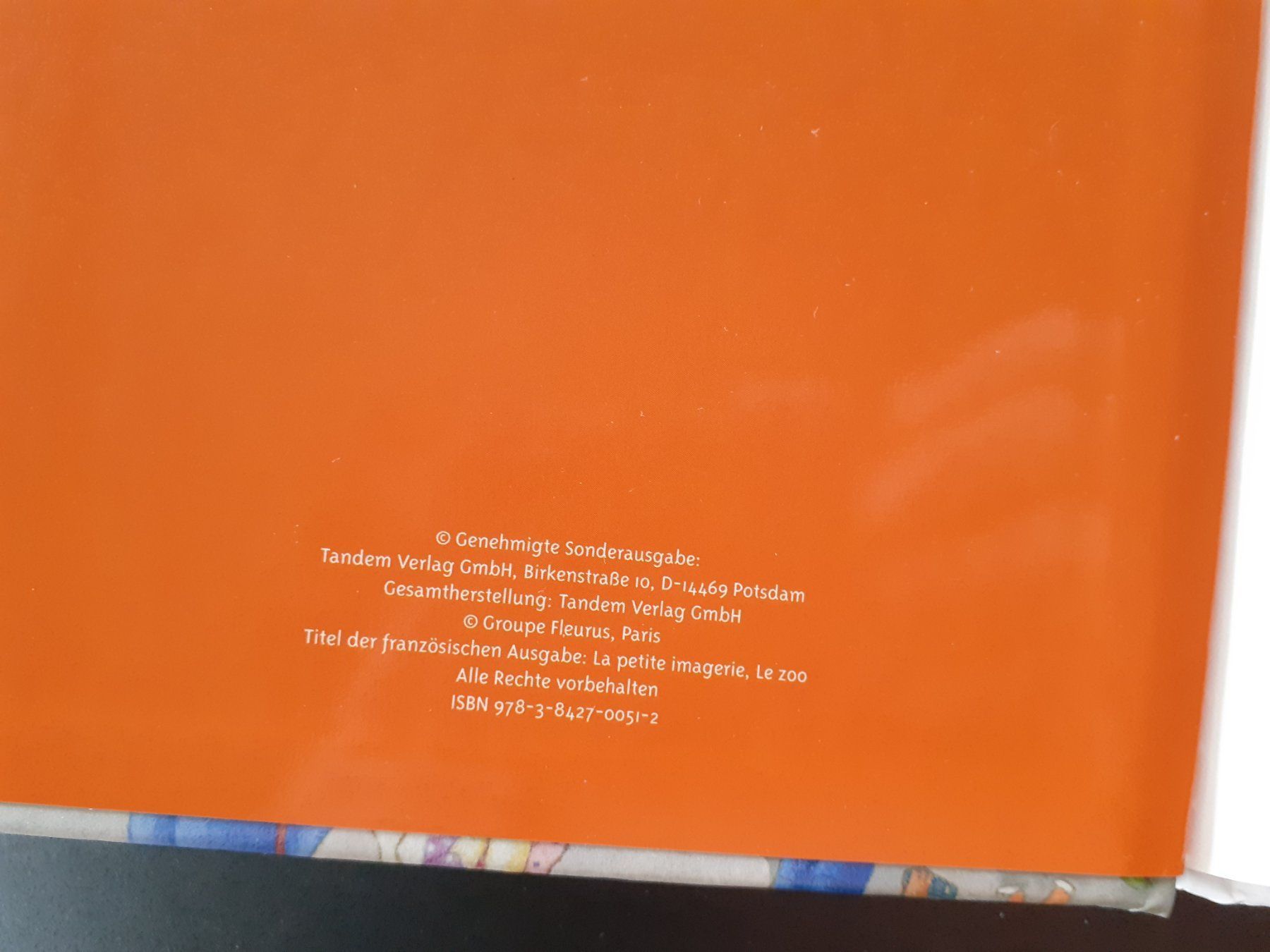 Libri: Kinderbuch Bilderbuch Im Zoo – Usato da Mörschwil venduto da lindaswunderkiste 2