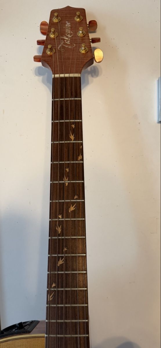 Takamine Musikinstrumente: Takamine Santa Fe LTD97 – Neu (gemäss Beschreibung) aus Diessenhofen von the-wingmaker01 8