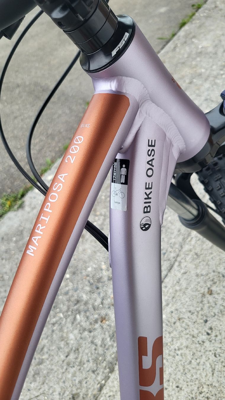 Bixs Biciclette: Bixs Mariposa 200 Purple L – Nuovo e nell'imballaggio originale da Frutigen venduto da silste6 4