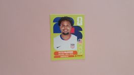 Panini Sticker WM 2026 - USA 10