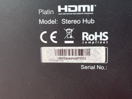 Platin Stereo Hub mit Fernbedienung und Netzteil