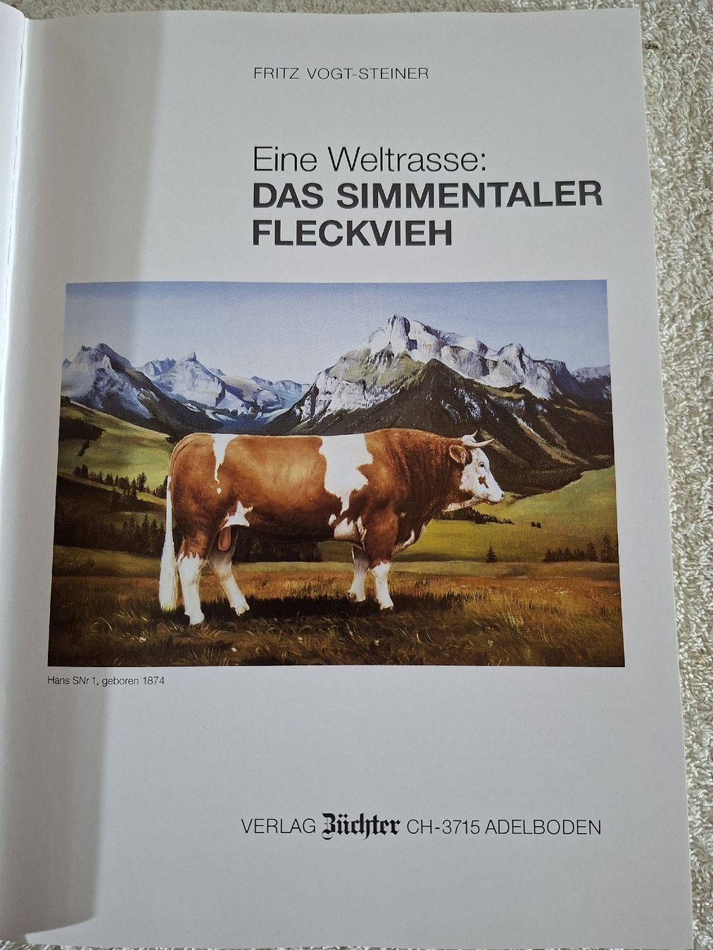 Cloches & sonnailles: Das Simmentaler Fleckvieh – D'occasion à Grindelwald par carro5 8