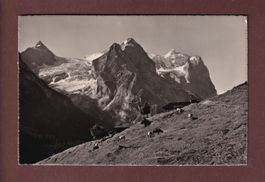 ROSENLAUI - Kaltenbrunnenalp