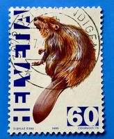 Nr.876 Europäischer Biber GESTEMPELT  Zirkuswelt 1995  