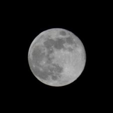 Profile image of Antelope4849