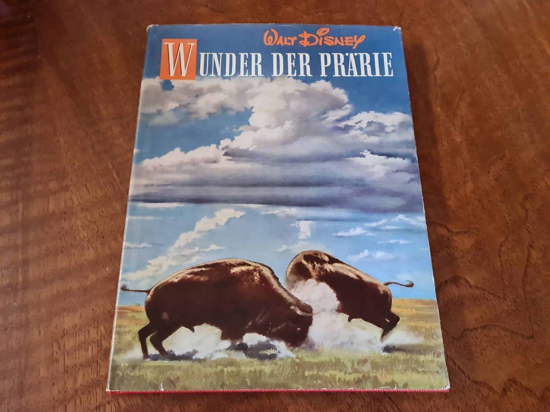 Libri: Wunder der Prärie – Usato da Erstfeld venduto da Uhu1980