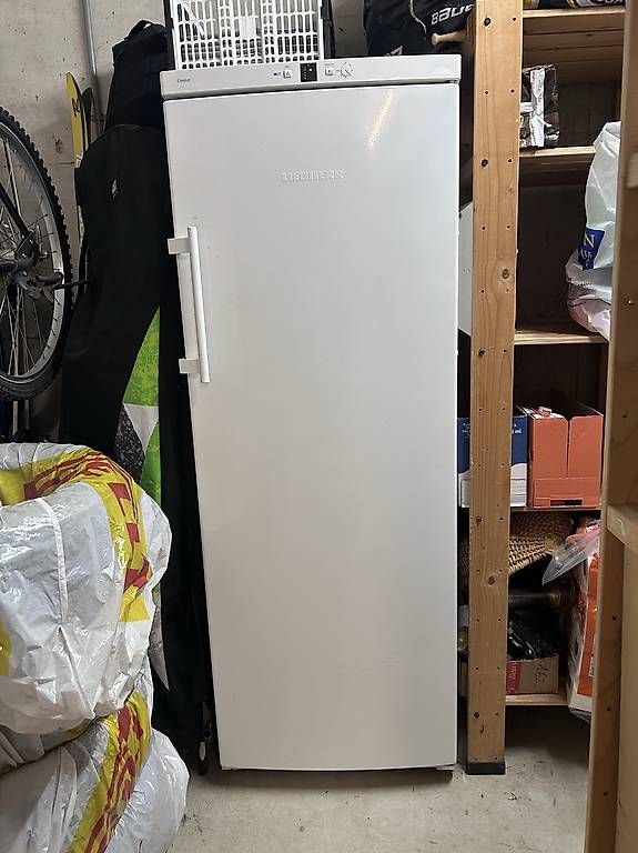 Congelatori: Congelatore Liebherr comfort – Usato da Pura venduto da Nasino