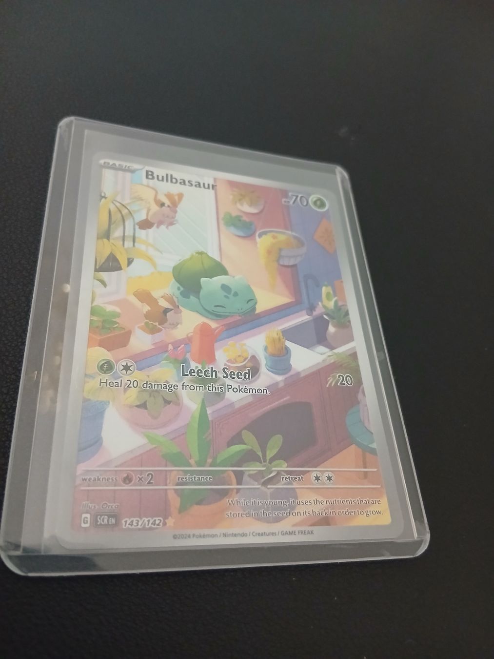 Pokémon Cartes à collectionner: Bulbasaur Pokémon Englisch – Neuf (Voir description) à Regensdorf par Baba_Basar 4