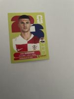 FIFA WM 2026 Luka Vuskovic CRO 6