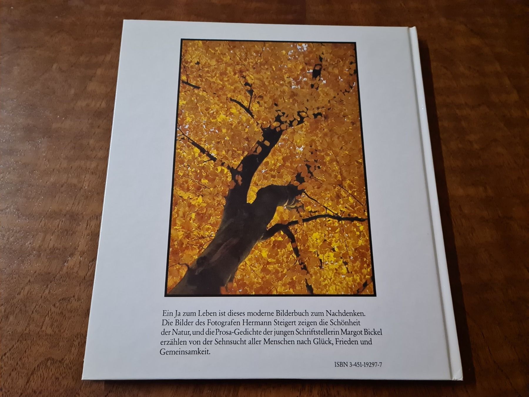 Libri: Pflücke den Tag – Usato da Erstfeld venduto da Mario_boe0 4