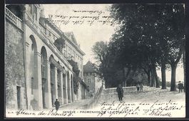 AK Genève, Promenade de la Treille