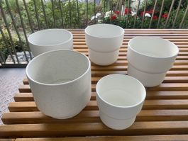 5 IKEA plant vases