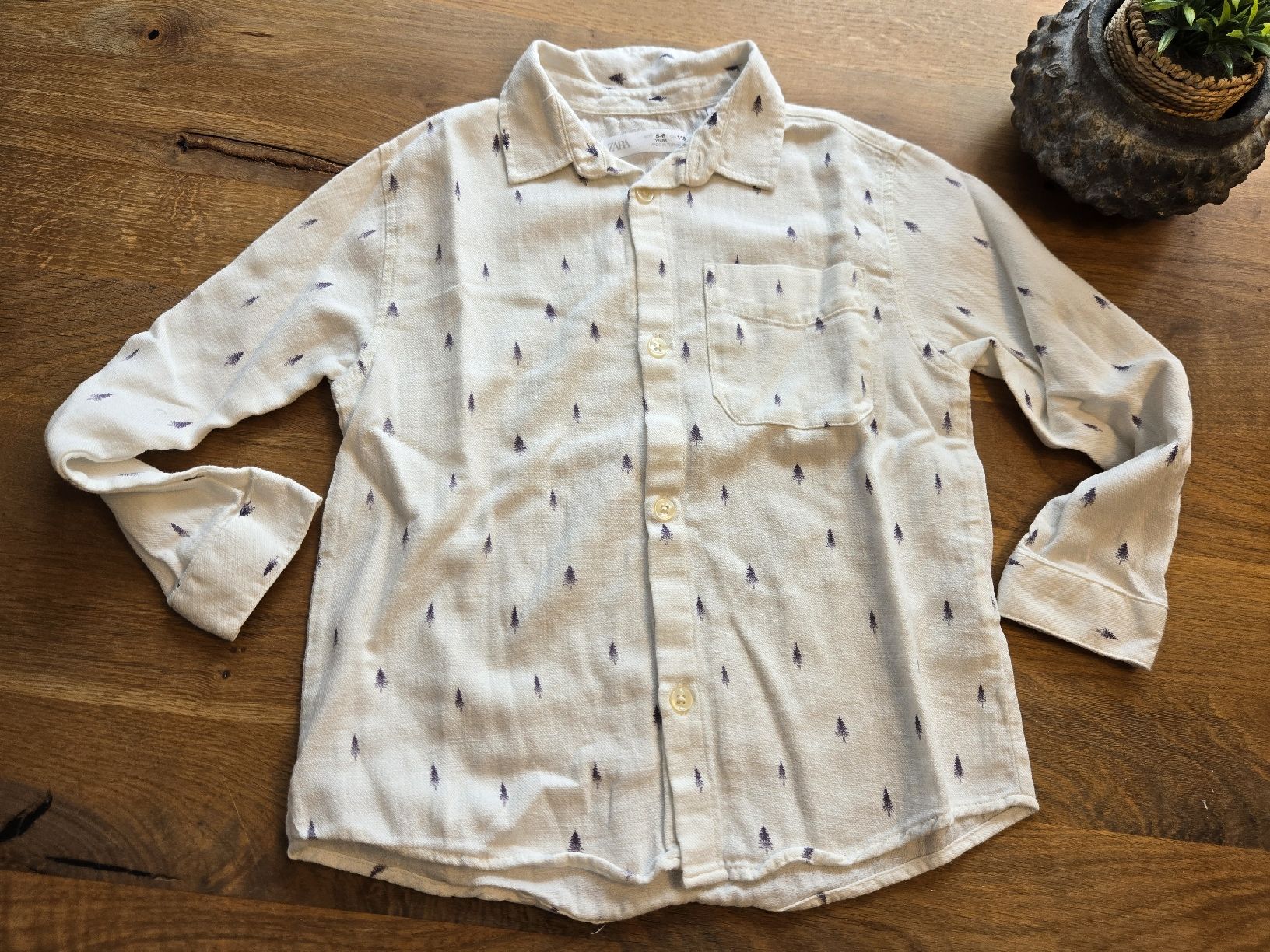 Zara Hemden, T-Shirts & Polos: Zara Hemd Junge 116 (NEU) – Neu (gemäss Beschreibung) aus Beckenried von purple-bubbles