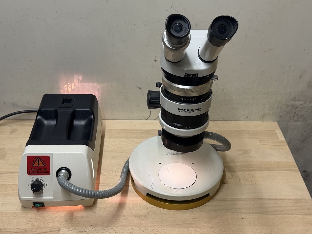 Wild Microscopi: Wild  Stereo Microscope M5A – Usato da Bassecourt venduto da DiM7775 3