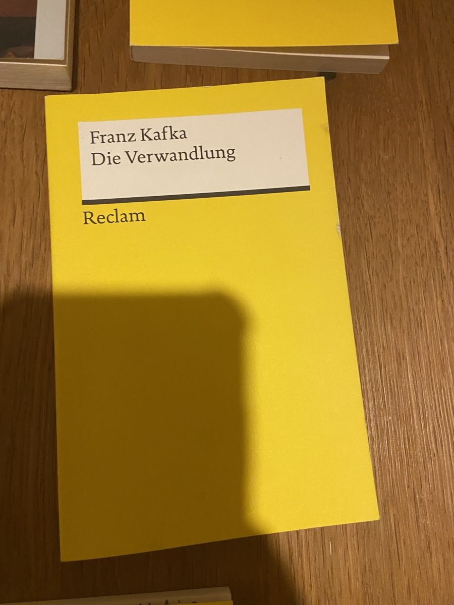 Libri: Deutsche Literaturbücher – Nuovo (secondo la descrizione) da Ausserberg venduto da ani_7jqv 8